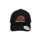 Kids Bundle: tee, book and cap Australian Wildlife Hub