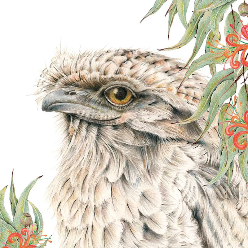 Australian Tawny Frogmouth | Art Print Australian Wildlife Hub