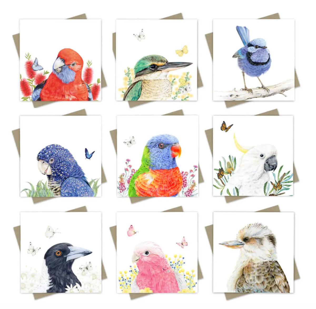 9 pack Feathery Bird Friends - Greeting Cards Australian Wildlife Hub