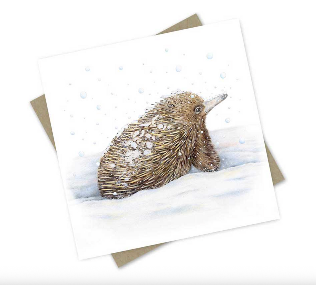 Etta the Echidna in the Snow - Greeting Card Australian Wildlife Hub