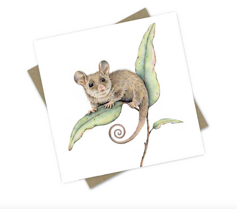 Peta the Pygmy Possum - Greeting Card Australian Wildlife Hub