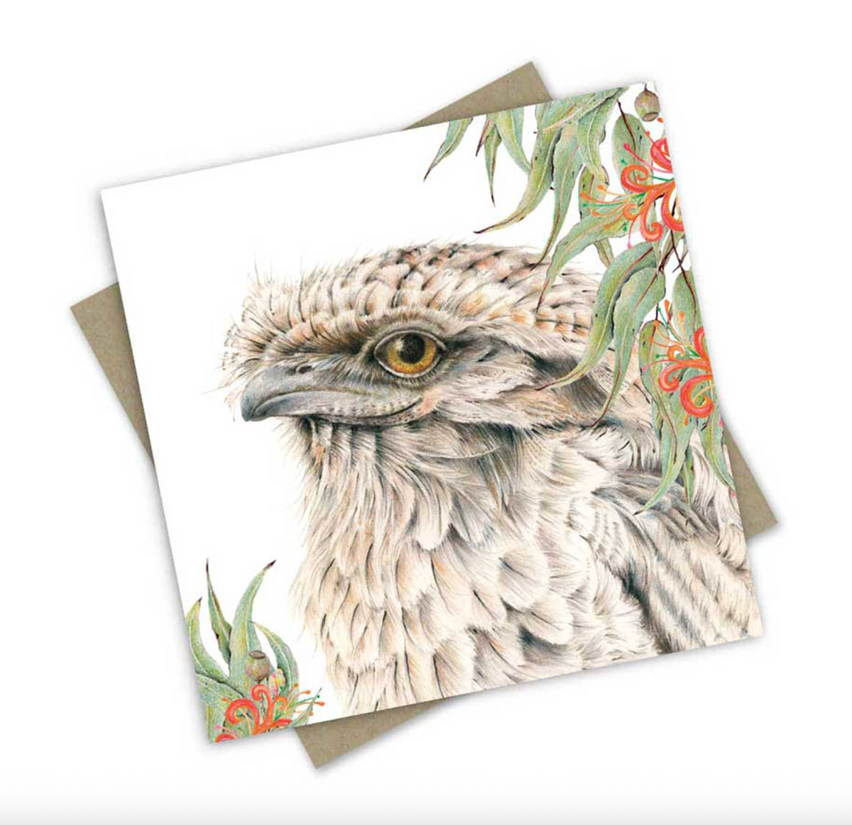 Tilda the Tawny Frogmouth - Greeting Card Australian Wildlife Hub